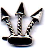 Ozdoba do skóry 067