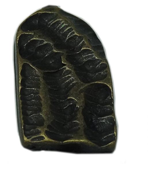 Końcówka paska 10mm BP308/10/A