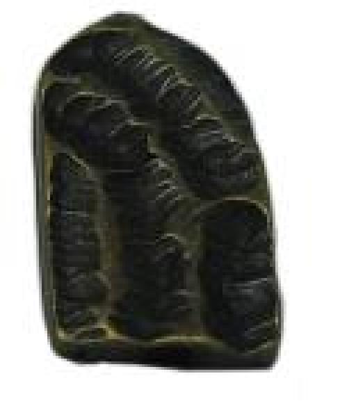 Końcówka paska 10mm BP308/10/N