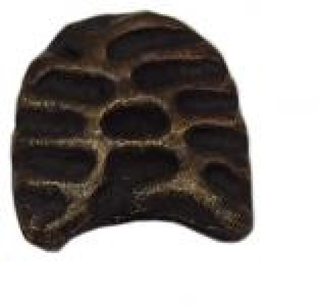 Końcówka paska 16mm BP256/16/N