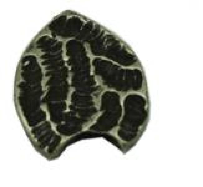 Końcówka paska 18mm BP307/18/N