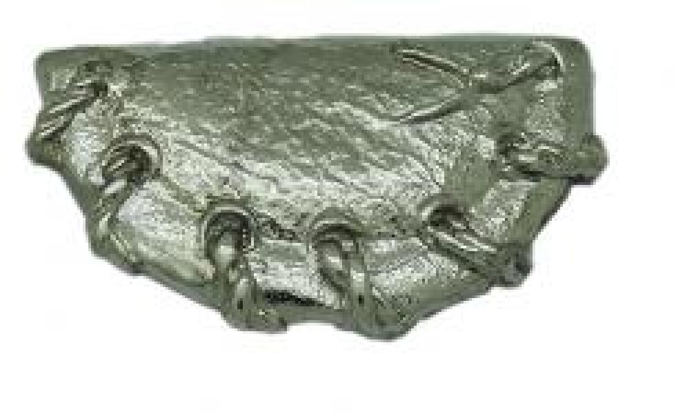 Końcówka paska 25mm BP262/25/N