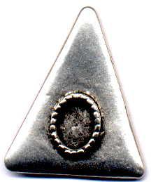 Ozdoba do skóry 1881